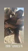 iness_david Altpins Profile Picture