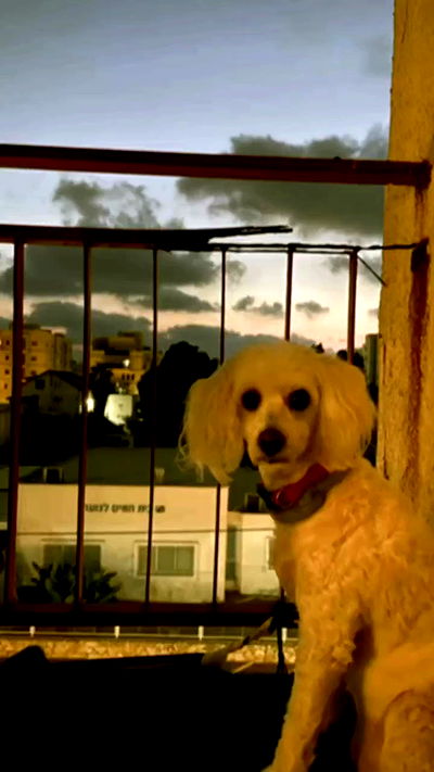 feelbetterinmysweater feelbetterinmysweater archive video