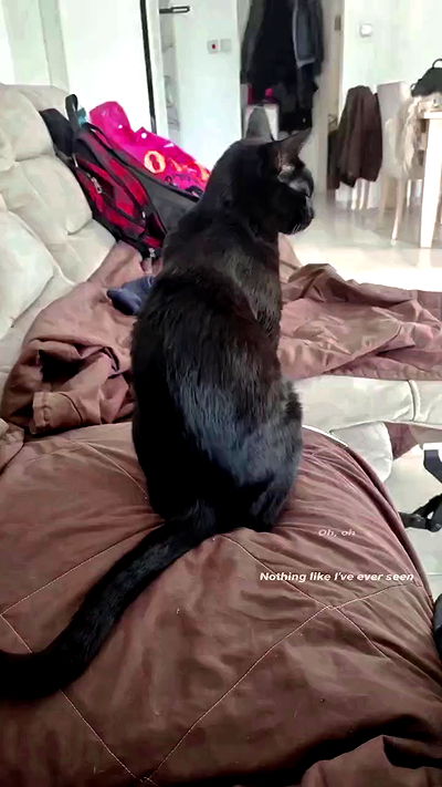 shayli_or shayli_or archive video