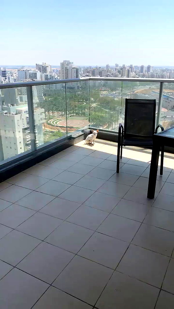 itaheden archive video preview