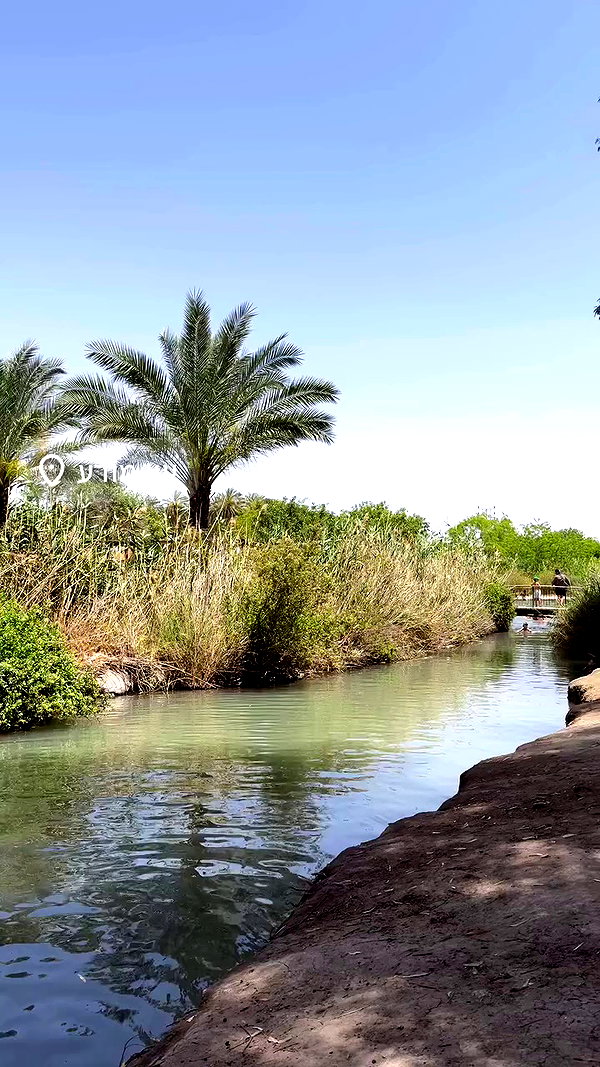 liad.arazi archive video preview