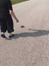 evasela__ Altpins Profile Picture