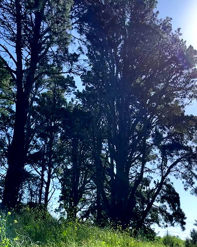 shunli__mei shunli__mei archive video