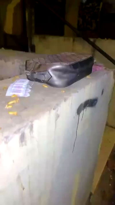 rose_xanne rose_xanne archive video