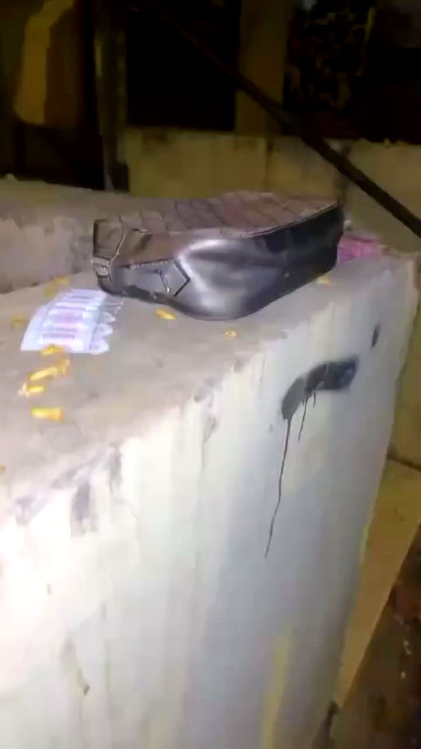 rose_xanne archive video preview