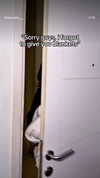 kitsunee.___ Altpins Profile Picture