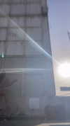 star_.walker Altpins Profile Picture