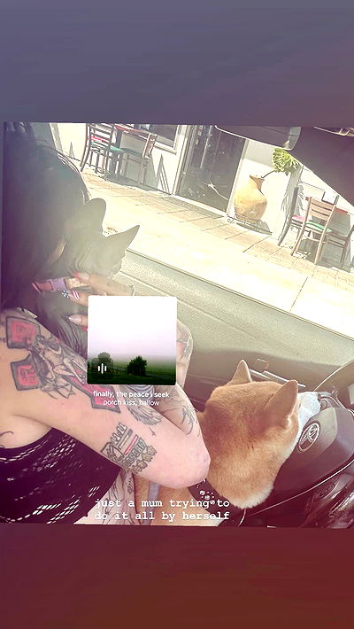 zommmbri zommmbri archive video