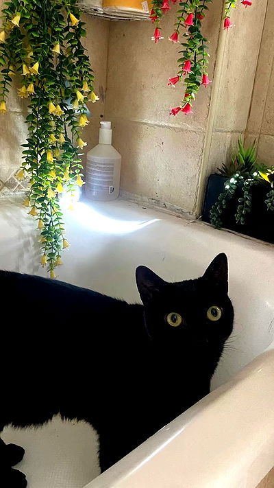 feelbetterinmysweater feelbetterinmysweater archive video