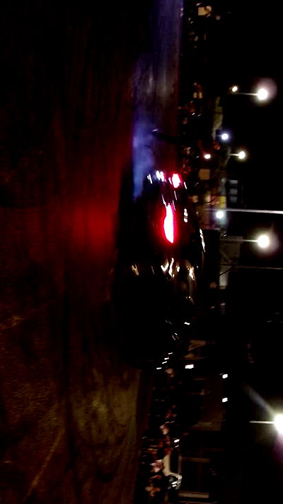 simp_for_cats_ simp_for_cats_ archive video