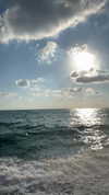 lin__099 Altpins Profile Picture