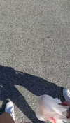 lew12001 Altpins Profile Picture