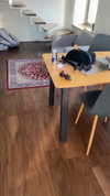 railey.tv Altpins Profile Picture