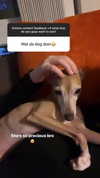 1kyle8_ Altpins Profile Picture