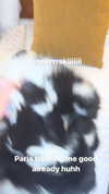 3liyen_ Altpins Profile Picture