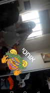 kingvalery.1 Altpins Profile Picture