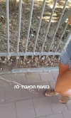 kingvalery.1 Altpins Profile Picture