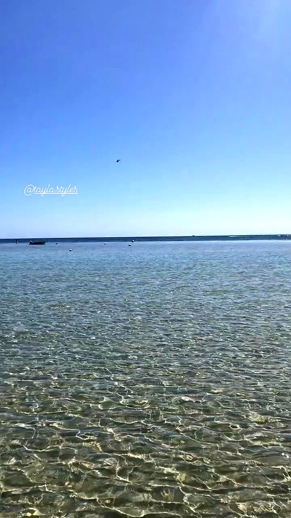caitlynpasznicki archive video preview