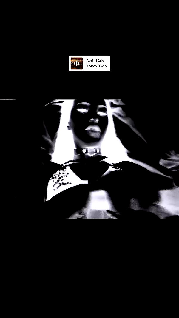 kitty___kitty16 archive video preview
