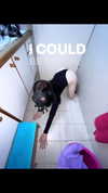 kitty___kitty16 Altpins Profile Picture