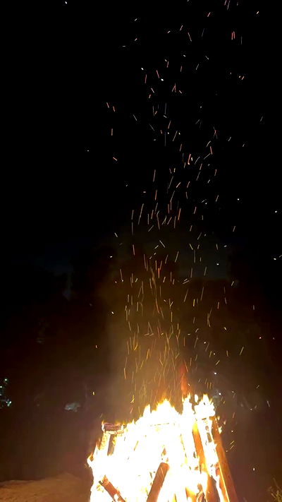 avitallllllllllllllll avitallllllllllllllll archive video