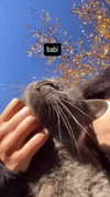 nylthria Altpins Profile Picture