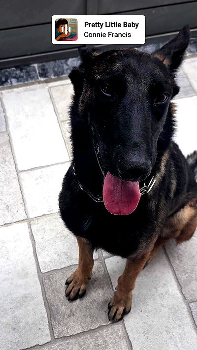 avital_1010.2003 avital_1010.2003 archive video