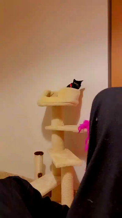 feelbetterinmysweater feelbetterinmysweater archive video