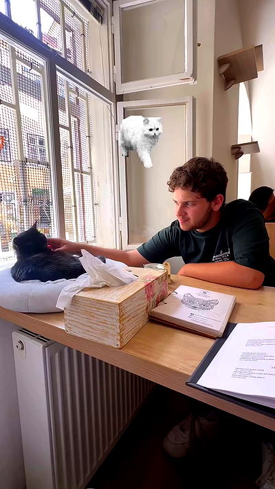 shelly_.mor shelly_.mor archive video