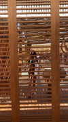 keli_ezra Altpins Profile Picture