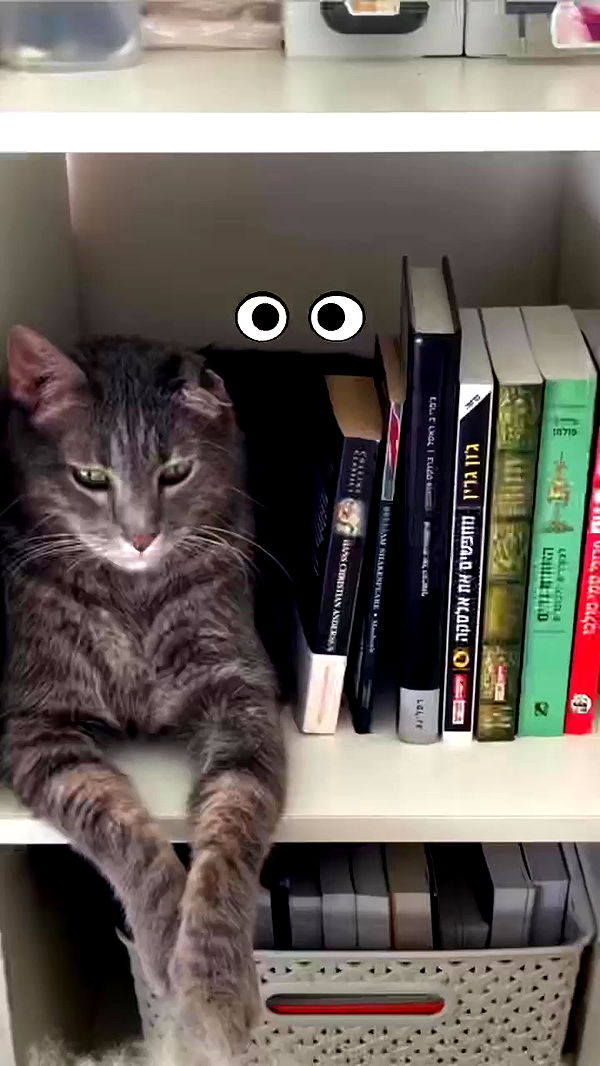 canabaputgir archive video preview