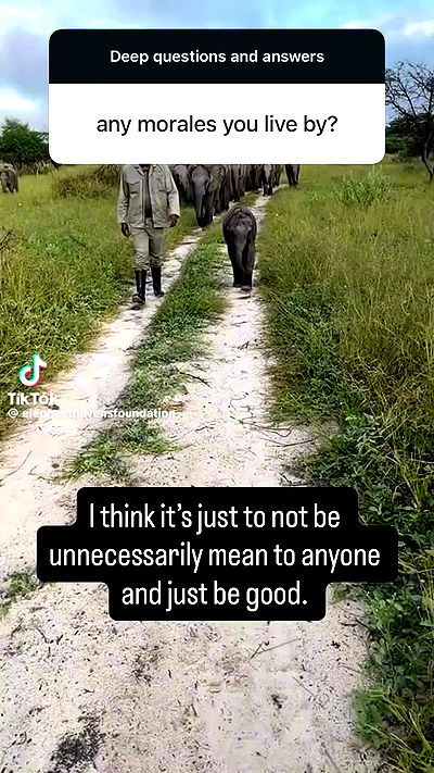 tobynjacobs tobynjacobs archive video