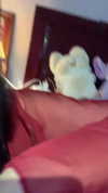 wdmp00_ Altpins Profile Picture
