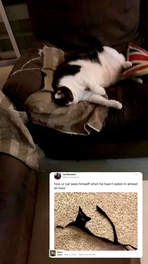 canabaputgir archive video preview