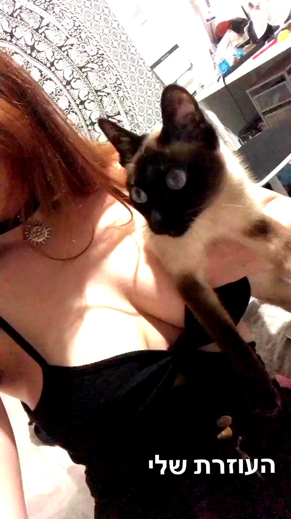 lera.sm22 archive video preview