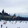 talll_cohen Altpins Profile Picture