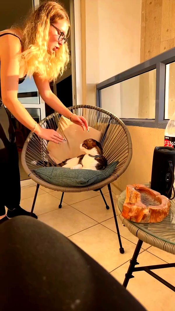 romy_ayalla_lavi archive video preview