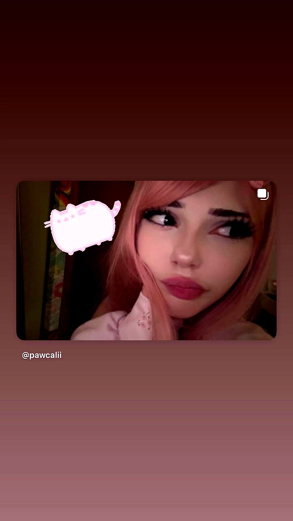 pawcalii archive video preview