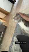 vadim_evs Altpins Profile Picture