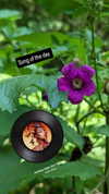 zz.eazoning Altpins Profile Picture