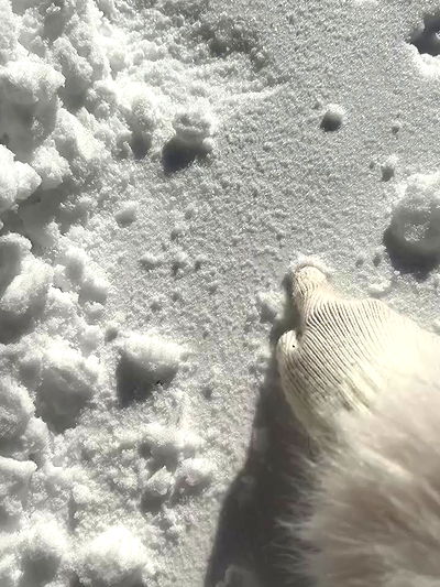 shunli__mei shunli__mei archive video