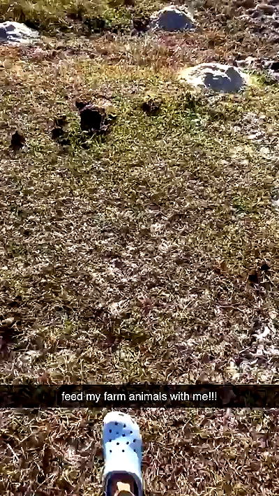 sophieraiin sophieraiin archive video