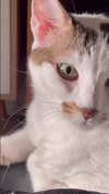 _koolkat__ Altpins Profile Picture