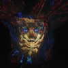 __noamche__ Altpins Profile Picture