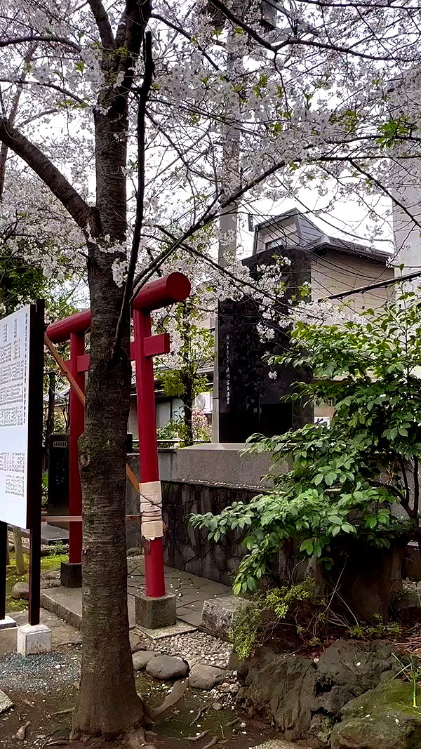 kasumi_sen archive video preview