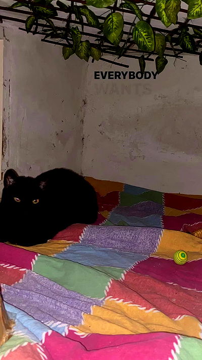 feelbetterinmysweater feelbetterinmysweater archive video