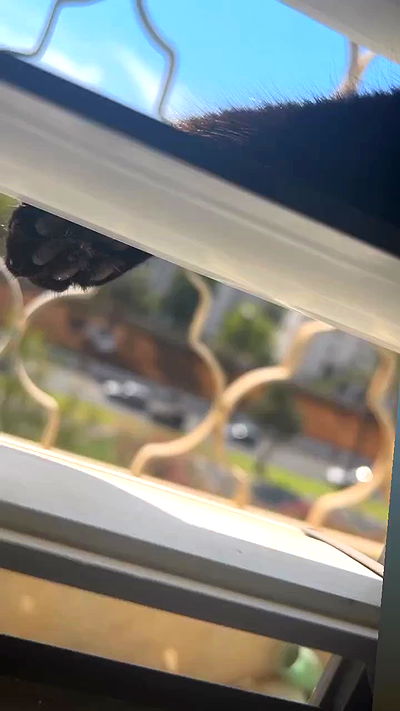 hellokittyangel666 hellokittyangel666 archive video