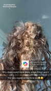 kalogerassunday Altpins Profile Picture