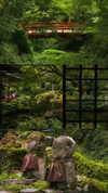 liron_haas Altpins Profile Picture