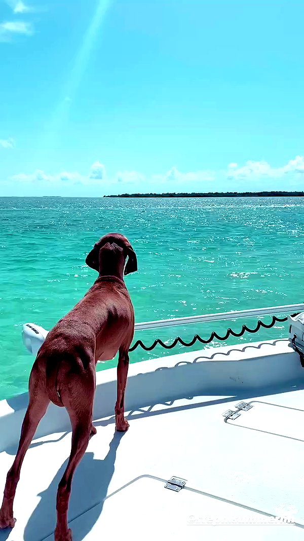 cassie.aguiar archive video preview